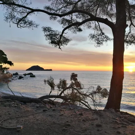 Nido Sul Mare Alassio