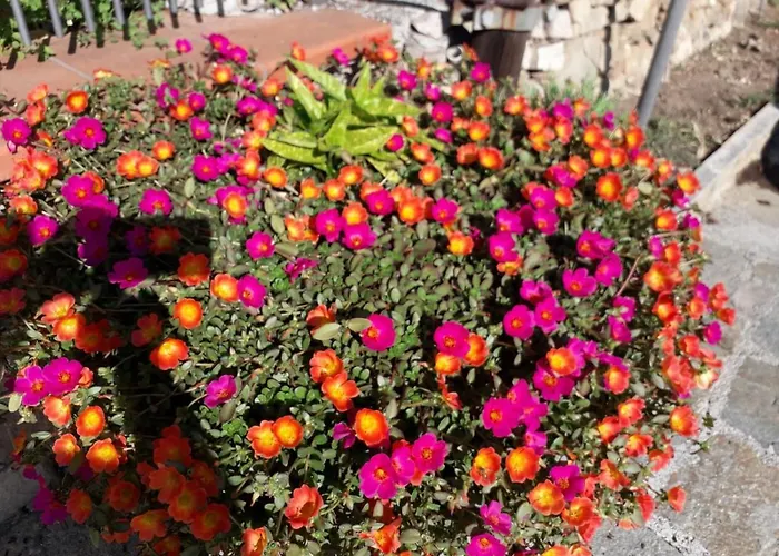 Nido Sul Mare Panzió 3*