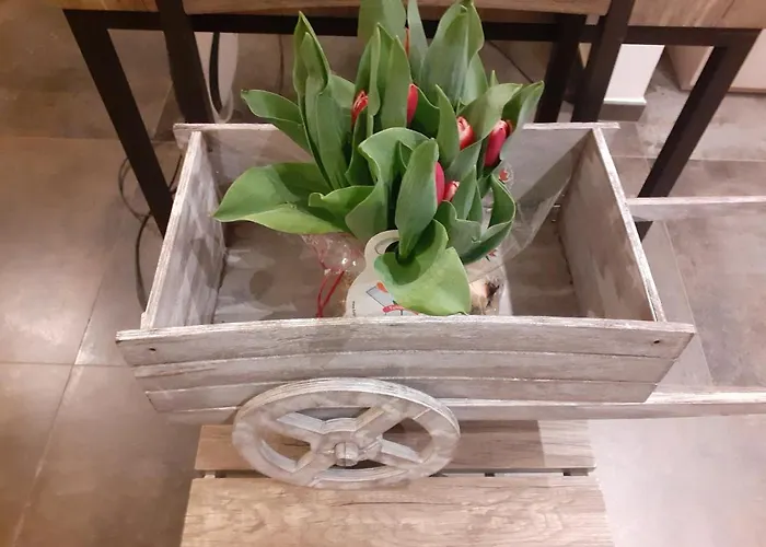 Nido Sul Mare Panzió Alassio