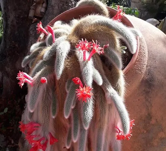 Nido Sul Mare Panzió